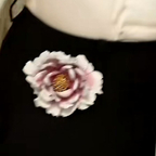 liliiii