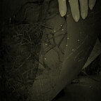 miss_mary