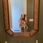 queenkat089